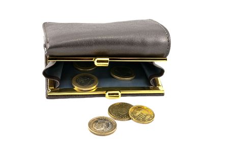 Single gray leather wallet with euro coins
