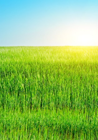 Rural landscapeの写真素材
