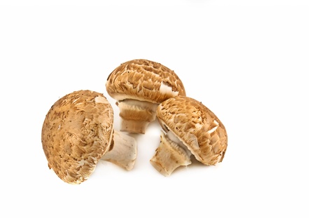 champignons on white backgroundの写真素材