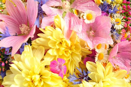 Summer flowersの写真素材