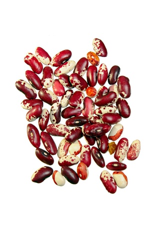 Pinto red beansの写真素材