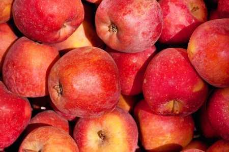 Red apples background on the market