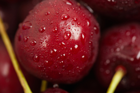 Background from sweet fresh wet  red cherry, macro imageの写真素材