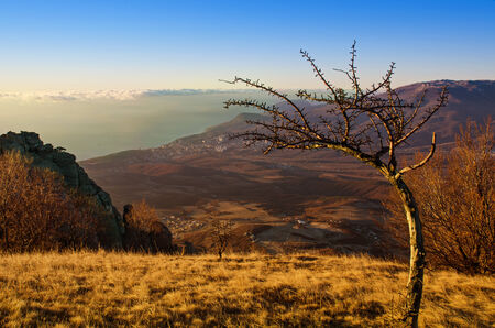 Sunrise in Crimea mountain with tree, clouds and blue sky, natural travel background
