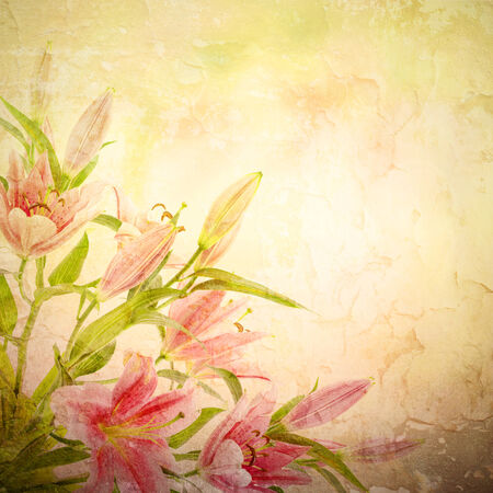 Pink lilies with copy space, floral vintage natural backgroundの写真素材