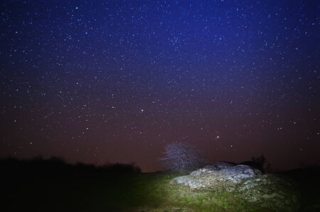 Night sky with lot of shiny stars, rock and tree are at front