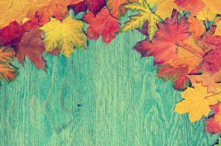 Frame from vivid colorful autumn leaves on the grunge wooden cyan desk, vintage seasonal backgroundの写真素材