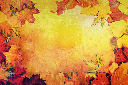 Autumn leaves frameの写真素材