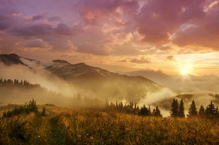 Foggy morning  landscape