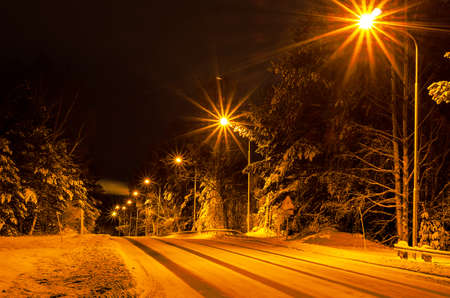Winter road in the forestの写真素材
