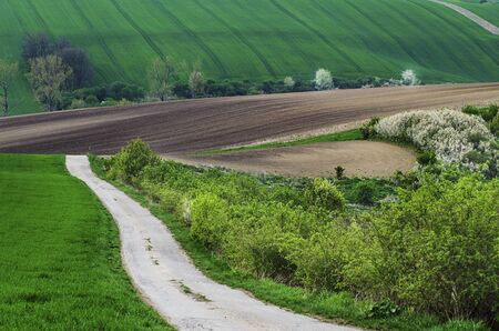 Rural landscapeの写真素材