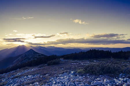 Carpathian mountains summer  sunset landscape with  rocks and moss, vintage hipster amazing...