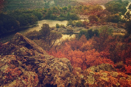 Rural autumn sunrise soft landscape with river and  colorful trees, seasonal vintage backgroundの写真素材