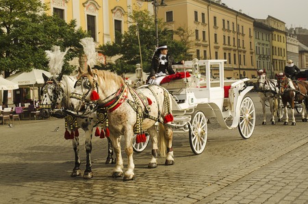 Horse carriages in front of Mariacki church on main square of Krakow city. Taking a horse ride in a carriage is very popular among tourists visiting Krakowの写真素材