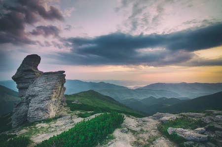 Carpathian mountains summer  sunrise landscape with  alpine pines and rocksの写真素材
