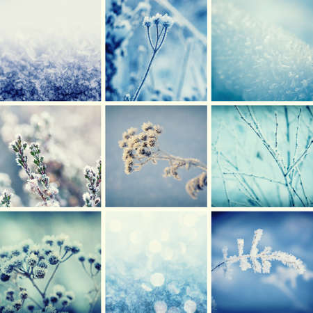Collection from different winter seasonal christmas backgrounds, suitable for web site designの写真素材