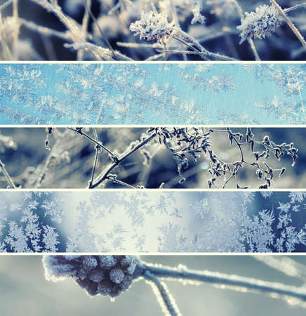 Collection from different winter seasonal christmas horizontal backgrounds, suitable for web site designの写真素材