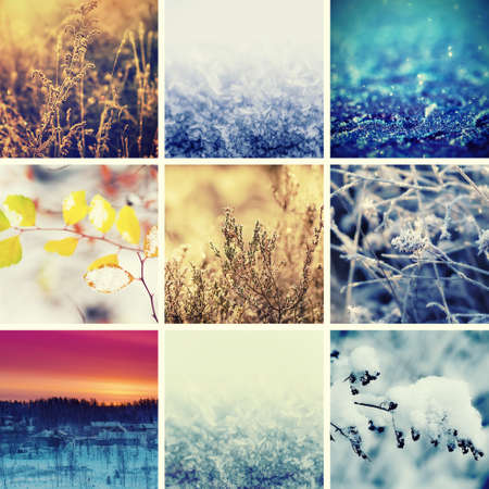 Collection from different winter seasonal christmas backgrounds, suitable for web site designの写真素材