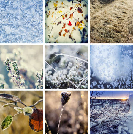 Collection from different winter seasonal christmas backgrounds, suitable for web site designの写真素材