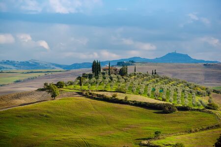 Rural  landscape with fields, olive trees and blue sky  - Tuscany, Italyの写真素材