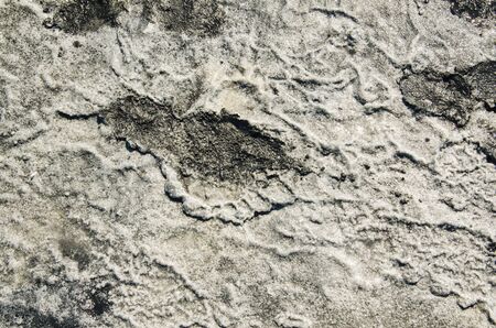 Surface of spa healing salt on the muddy ground with human track, summer natural bodycare backgroundの写真素材