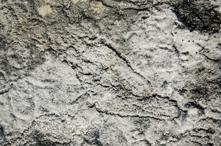 Surface of spa healing salt on the muddy ground with human track, summer natural bodycare backgroundの写真素材