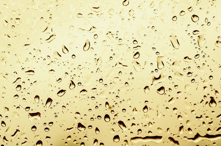 Rainy wet yellow gold abstract fall autumn abstract eco seasonal natural blurred background with water dropsの写真素材