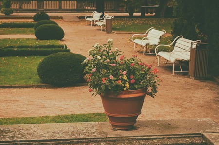 Ceramic pots with blooming red and white flowers in the park with green lawn and benchesの写真素材