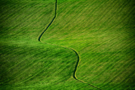 Green meadow abstract natural eco background with waves in Tuscany, Italyの写真素材