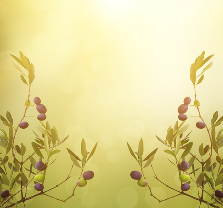 Floral natural sunny organic food background with olive tree branches, green leaves anf fruits, can be used for cards, posters and webの写真素材