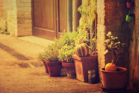 Empty street of small Tuscany town San Quirico d'Orcia in the morning fog with halloween pumpkin decorations. Romantic travel vintage hipster european italy backgroundの写真素材