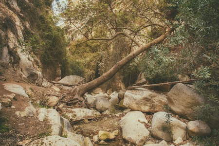 Amazing natural landscape in the Avakas canyon in Cyprus. National wild park with cliffs, mountains,...