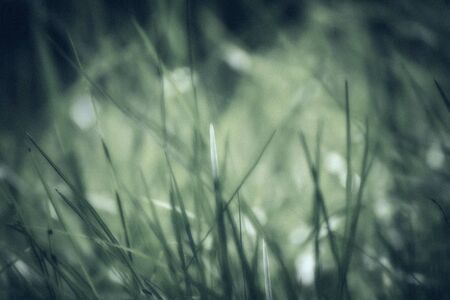 Abstract vintage l backgroundの写真素材