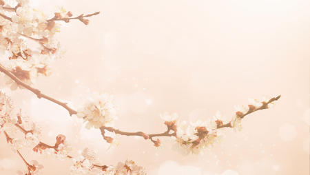 Abstract spring background