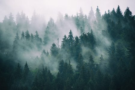 Misty mountain landscape