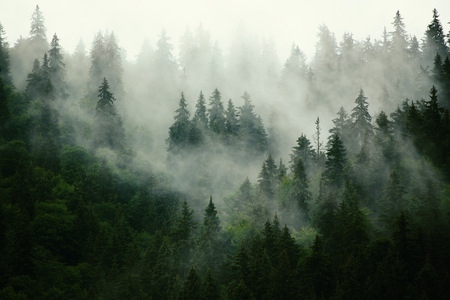 Misty mountain landscapeの写真素材