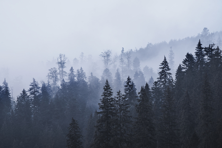 Misty mountain landscapeの写真素材