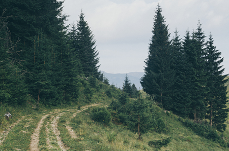 Summer mountain landscapeの写真素材