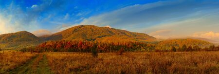 Carpathian mountain landscape