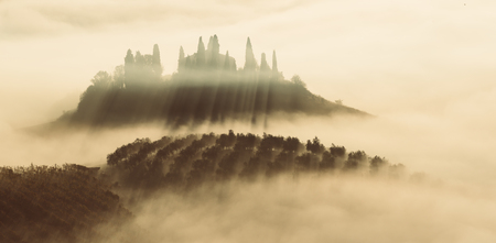 Drowned in the fogの写真素材