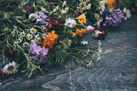 Summer flowers designの写真素材