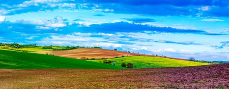 Rural spring landscape