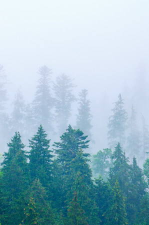 Misty mountain landscapeの写真素材