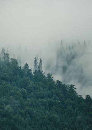 Misty mountain landscapeの写真素材