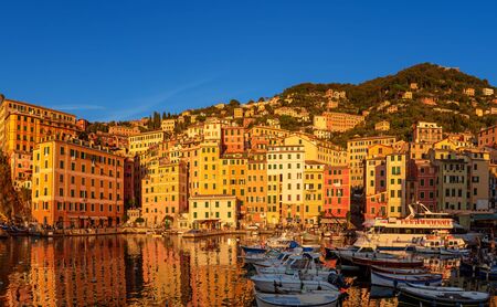 Sunset in Camogli town, Italy.の写真素材