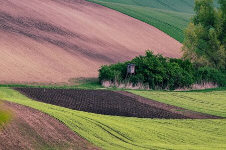 Rural spring landscapeの写真素材