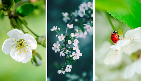 Set of spring wallpapers