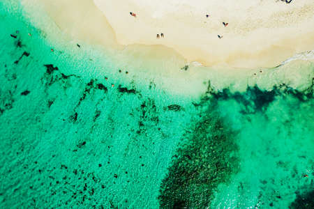 Tropical carribbean beach