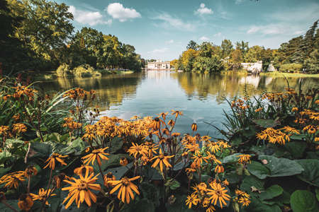 Lazienki Park in Warsawの写真素材