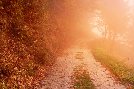 Beautiful autumn landscapeの写真素材